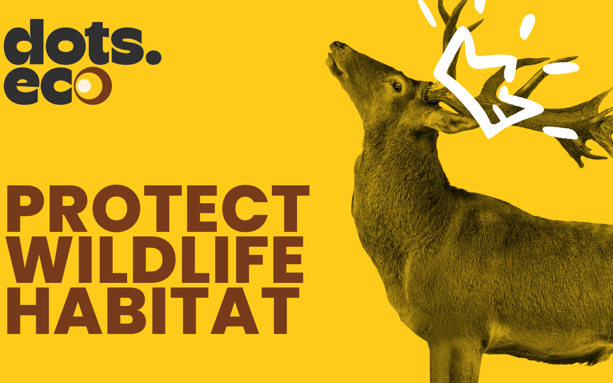 Dots.eco - Protect Wildlife Habitat Gift Card available in United States with options of $5.0, $10.0, $20.0. Perfect for shopping and gifts. Protecting wildlife habitats means setting apart a...